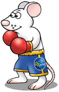 Ozgene KO mouse