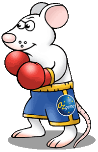 genetically modified mice service provider - Knockout mice