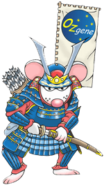 samurai mouse