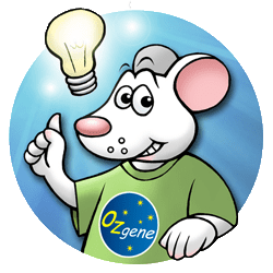 Idea mouse