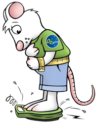 Obese mouse