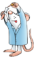 KO mouse