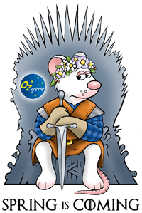 Spring mouse