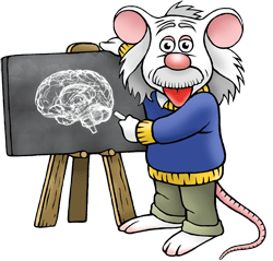 Brain research mouse