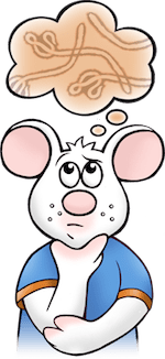 Ebola mouse