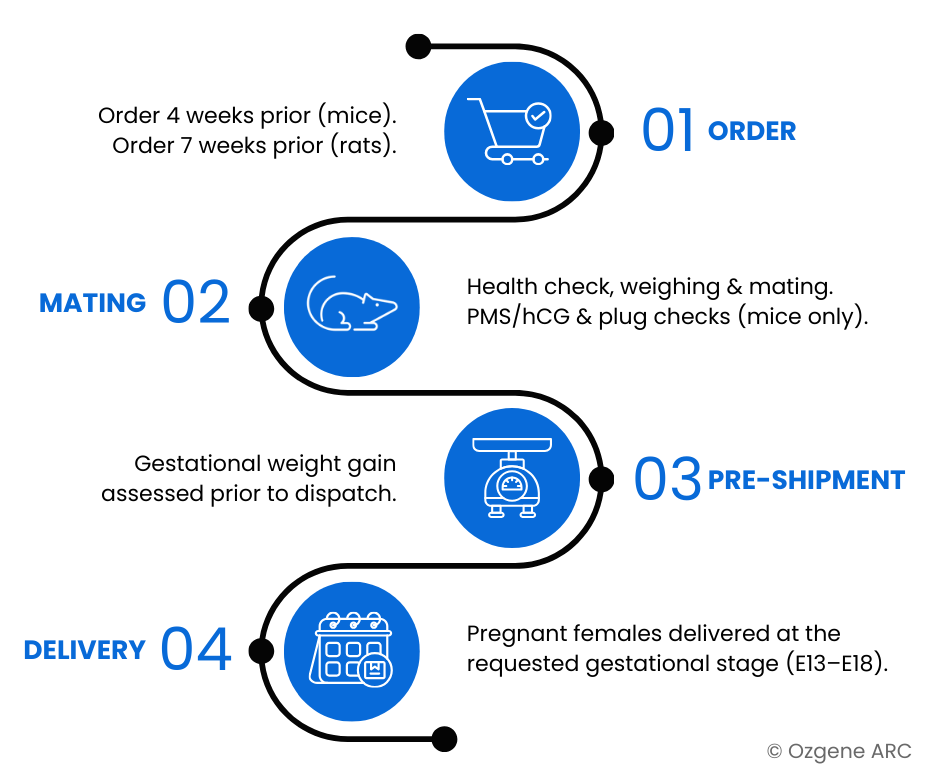 Timed mating infographic