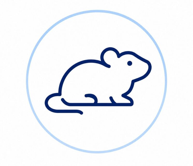 custom mouse